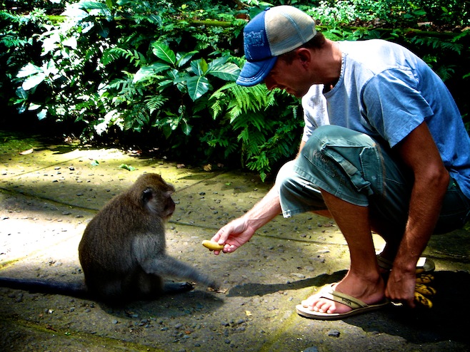 Indo Monkey Forest1
